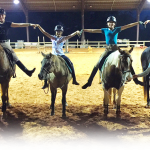 Our Lesson Horses - Edgebrook Equestian Center