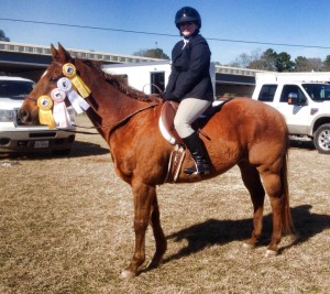 lesson horse montgomery texas