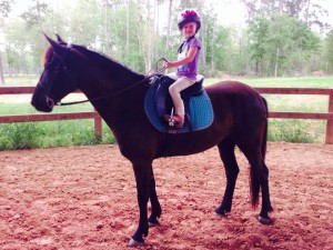 horse riding camps